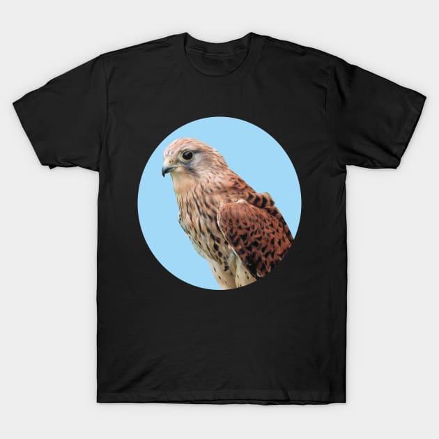 Bird of Prey photograph T-Shirt by AJ techDesigns